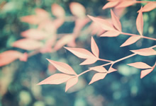 爱沙尼亚足球协会发布最新转会消息：联赛新格局与未来展望