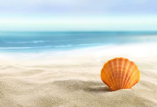 四川FC与富德对决，谁能获得关键三分