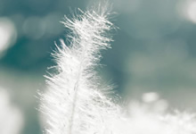 苏瓦松屡败屡战，再次击败对手