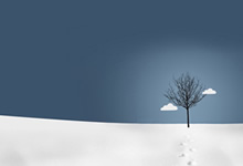 意甲强队全队亮相承诺冲击亚洲俱乐部锦标赛