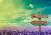 亚洲篮球界出现新冉冉升起的明星球员